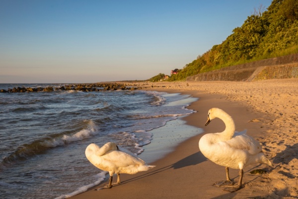 Chodż do wody :) Plaża Niechorze